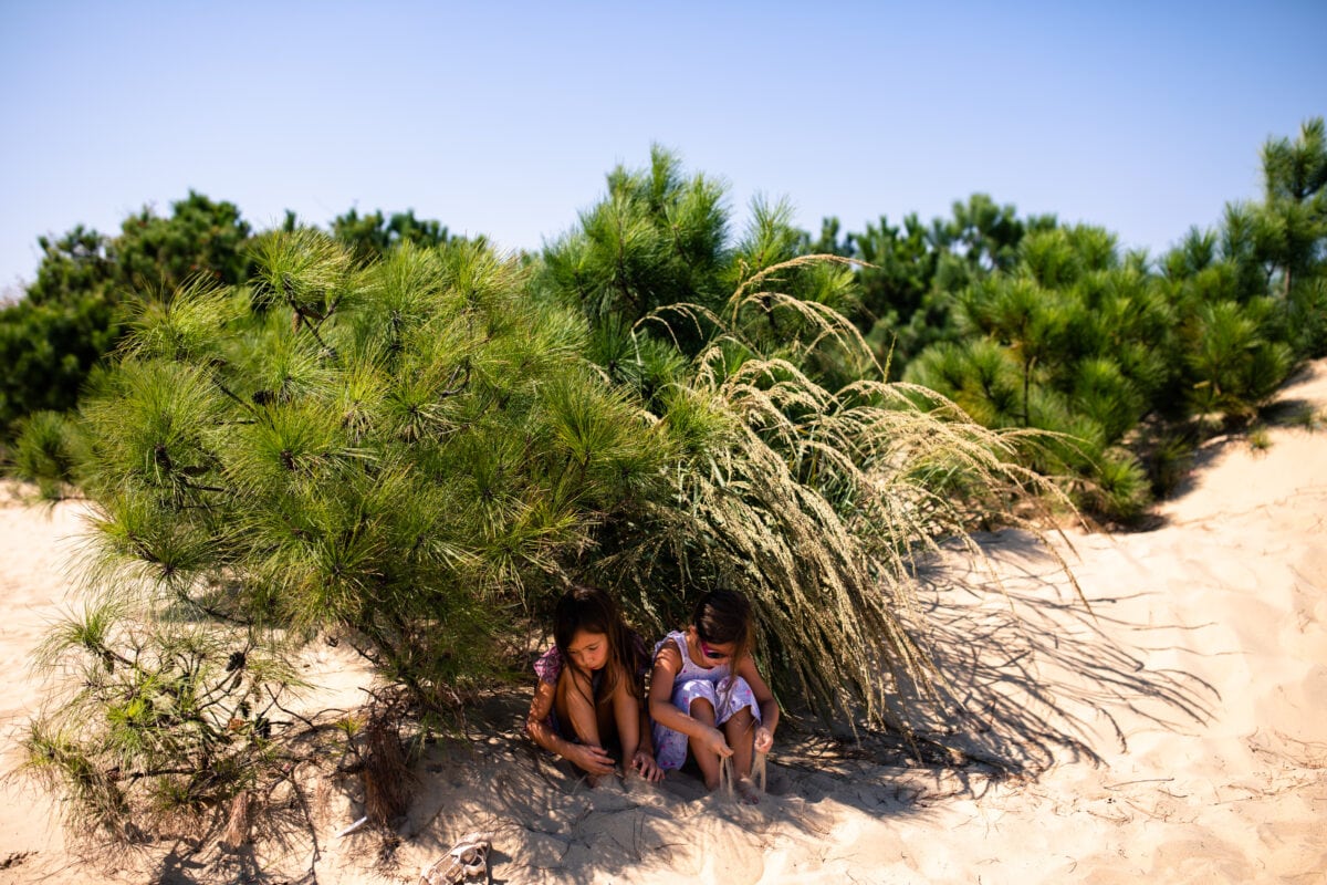 two girls hiding in shadow of plants in sand